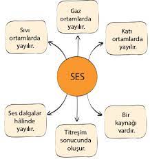 Gaz, hava, katı ya da sıvı ortamlarda ses nasıl oluşur? Ses Hangi Ortamlarda Yayilabilir