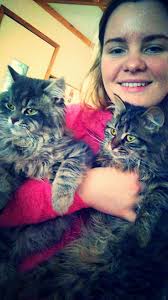 Tego, our NFC, shopping for cat things at Home Goods!