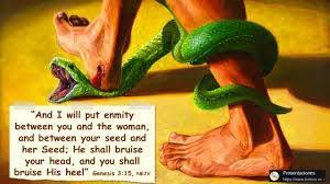What does Genesis 3:15 mean that “he will crush your head, and you will  strike his heel”? In Genesis 3 God metes out various judgments against  those who brought sin into His