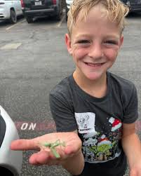 Who needs video games when you've got grasshoppers, sunshine, and a farm to  grow up on? #farmlife #farm #summervibes☀️ #blessed #blessedandgrateful  #grateful