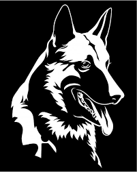 Pin On Dogs