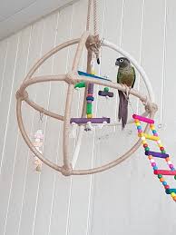 15 foraging toys for birds! Diy Parrot Toy Pippin Loves The Home Made Atom Hula Hoops Cable Ties And Hemp Sisal Rope Bird Toys Diy Bird Toys Conure Toys