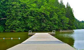 Each campsite has a fire pit and a picnic table, and there Alice Lake Provincial Park Campground Tourism Squamish
