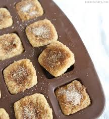 Cinnamon Sugar Donut Bites Grain Free Nut Free Vegan Coconut Flour Recipe Cinnamon Sugar Donuts Sugar Donut Coconut Flour