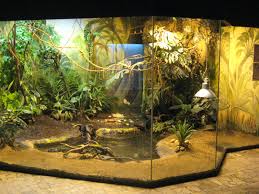 Pin By Elizabeth Perez On Someday Reptile Habitat Reptile Room Reptile Terrarium