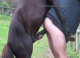 Horse Gives Anal Gay Beast Com - Dude Fucks Pet - Extrem Sex and Taboo Porn.