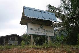 Havy oil mill sdn bhd. Ngo S Tell Brands Drop Palm Oil Giant Ioi Group Rainforest Action Network