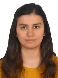 burcu.ataman@beun.edu.tr