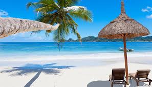 Seychelles photo 3d fond ecran plage les seychelles paradis tropical plage photographie de paysage plages tropicales coucher de soleil plage. Guide Pratique Pour Un Sejour Ensoleille Aux Seychelles