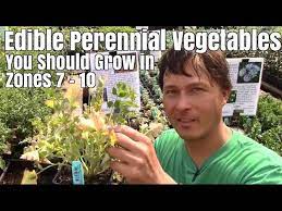 See more ideas about perennials, plants, planting flowers. Edible Perennial Vegetables You Should Grow In Your Zone 7 10 Garden Youtube
