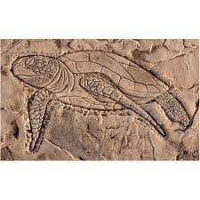 If you're a lover of the sea, you're going to love creating with the sea turtle cling mounted rubber stamp designed by fran seiford for stampendous. Decorative Concrete Stamp Sea Turtle Swimming