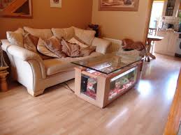 Maybe you would like to learn more about one of these? Great Ideas For Coffee Table Fish Tanks Glass Fish Tanks