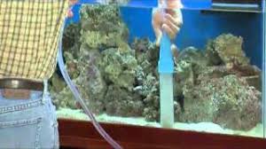 Test the pond water at the same time of day as ph readings change throughout the day. Goldfish Tank Water Changes The Goldfish Tank