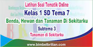 Amatilah peta pada pembelajaran sebelumnya. Soal Tematik Kelas 1 Sd Tema 7 Subtema 3 Tanaman Di Sekitarku Dan Kunci Jawaban Bimbel Brilian