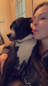 FOUND! Thank you. If anyone happens to see either of these two running  around in the T dr s area near Clarendon rd please let us know. They got  out of the