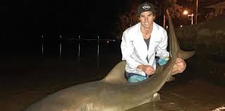 Photos of the bull shark got a lot of. Exhausted Matt S Two Hour Battle With Monster Shark Sunshine Coast Daily
