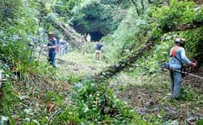 Si te apetece adentrarte en la naturaleza y hacer algo de senderismo en bilbao, el bosque de oma es el lugar ideal para disfrutar. Un Gesto Para Recuperar El Viejo Tunel Que Atraviesa Artxanda El Correo