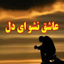 نتیجه تصویری برای آهنگ دل بی صاحبم عاشق نشو لعنت به این دلدادگی