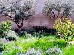 Sie sind orte der stille und gleichzeitig sind sie wunderbar lebendig. Marrakesch Oase Der Garten Vonreisenundgaerten