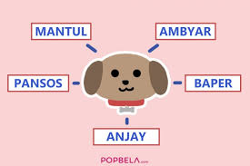 Kata Anjay Dilarang Ini Arti 13 Istilah Lain Yang Harus Diketahui