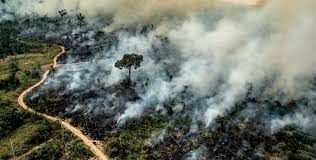 An Analysis Of Amazonian Forest Fires Amazon Deforestation Deforestation Forest Fire