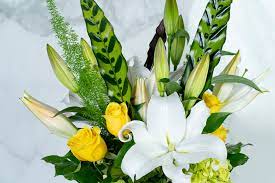 Check spelling or type a new query. Flowers Of Fort Lauderdale Home Facebook