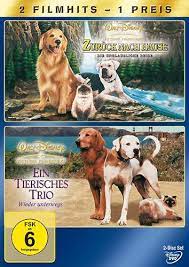 Rosettenversagen zwei schwänze im arsch. Zuruck Nach Hause Die Unglaubliche Reise Ein Tierisches Trio Wieder Unterwegs 2 Dvds Amazon De Robert Hays Kim Greist Jean Smart Benj Thall Veronica Lauren Kevin Chevalia Max Perlich Michael