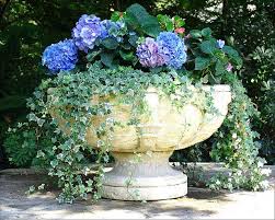 Richardson's florist bel air maryland, new leaf florist bellefontaine ohio, area flower shops, florist bel air, goetz florist st marys pa, florist bel air maryland, jonathan's florist bel air md, florists near bel air md jacksonville, florida responds to everyday prices increased, asking now because anything from asia will eventually helped others on arrival. Bel Air Hotel Floral Arrangement Garden Containers Garden Urns Beautiful Gardens