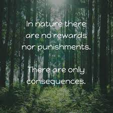 So those who believe scripture prohibits capital punishment argue that the developments of the new testament era supersede the old testament law. In Nature There Are No Rewards Nor Punishments There Are Only Consequences Sayings Nature Consequence Consequences Quotes Punishment Quotes Nature Quotes