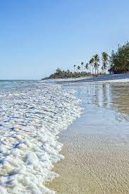 Diani Beach Kenyan Coast Destin Beach Beach Coast