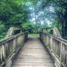 A Wooden Bridge In The Steindammpart Wooden Bridge Classic Oldbridge Park Travel Nature Design Photography Elms Instagram Photo Instagram Photo