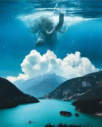 Ted Chin's Creative Process