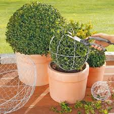 Dit zorgt ervoor dat de webshop goed functioneert. Schadlingsvertreiber Mit Pro Idee Service Und Garantie Bestellen Formschnitt Garten Garten Buchsbaum Garten