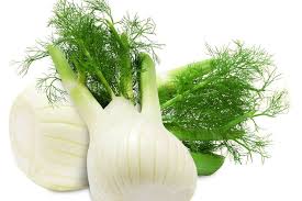 Comment Cuisiner Le Fenouil Le Conserver A Quelles Saisons Le Deguster Pour Une Saveur Optimale De En 2020 Comment Cuisiner Le Fenouil Fenouil Cuisiner Le Fenouil