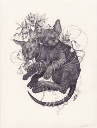 Discover more posts about cat drawing. Sphynx Cats Sphynx Skeletons On Behance