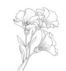 Telecharger Dessin A L 39 Encre De Ligne De Fleur Illustration Image 62588984 In 2020 Flower Line Drawings Flower Drawing Pencil Drawings Of Flowers