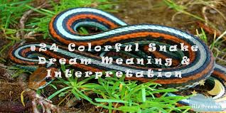 Dreams About Colorful Snakes Are Not Scary For Some People While They Freak Out Others Depending On How You In 2020 Dream Meanings Colorful Snakes Dream Meaning Snake