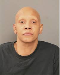 ᐅ Illinois Criminal Records 2009-2025