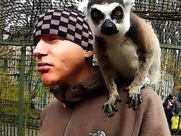 Unified Computing System Discussions