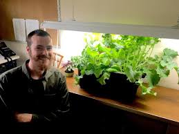 They're also a little more portable than hanging light fixtures so you can move them around if. Best Grow Lights For Growing Vegetables Indoors The Old Farmer S Almanac