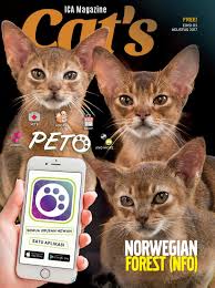 Kucing telah berbaur dengan kehidupan manusia paling tidak sejak 6.000 tahun sm, dari. Cat S Magazine 3rd Edition By Harry Andrews Design Issuu