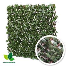 Treillis Extensible Treillis Avec Feuillage En Lierre Treillage Feuille De Lierre Treillis Jardin