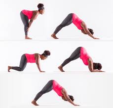 Vary Your Vinyasa 4 Alternatives To Chaturanga Upward Dog Vinyasa Shoulder Muscles