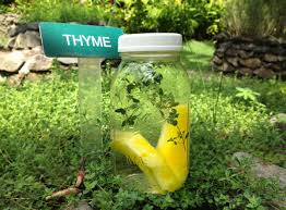 Pineapple Thyme Infused Water Herb Infused Water Fruit Infused Water Bottle Infused Water Recipes