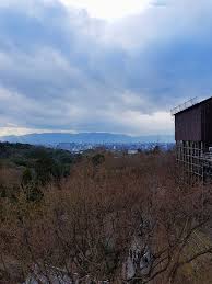 Take a sneak peak at the movies coming out this week (8/12) simone biles is mental health #goals. Notes Of A Nocturnal