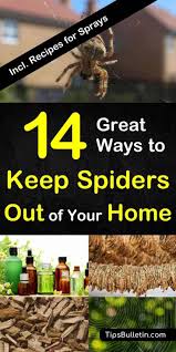 Add 15 drops of peppermint oil to the spray bottle. 14 Great Ways To Keep Spiders Out Of Your Home Naturally African Eye Report