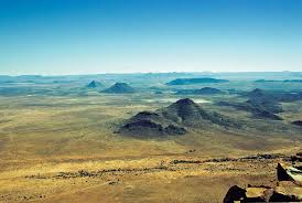 Image result for Plinthus karooicus