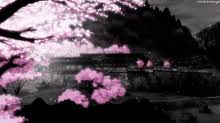 Cherry blossoms in japanese are known as sakura and it would not be an. Anime Sakura Tree Gifs Tenor