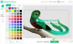 Apowersoft Background Eraser 2020 Free Download Full Version Background Eraser Basic Photo Editing Background Remover This stunning application lets you erase your photo or its background or both, making it transparent.