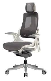 The Raynor Group Wau White Frame Charcoal Mesh 3 4 Front Elevation Ergonomic Office Chair Office Chair White Frame